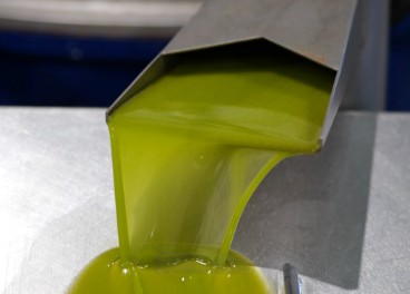 Sigue el buen comportamiento de las salidas de aceite de oliva en junio