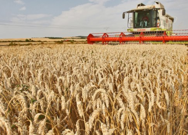 Agricultura actualiza las ayudas para inversiones en modernización