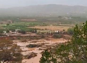 Efectos de la DANA en el campo