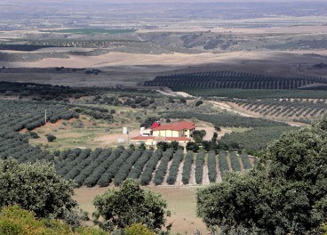 Vista panorámica Casas de Hualdo