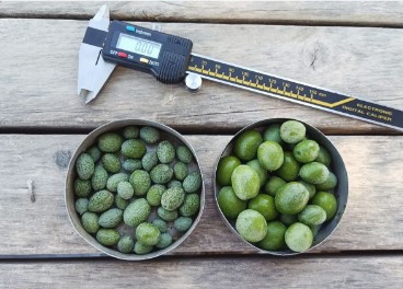 El equipo realizó mediciones semanales en campo, registrando datos sobre el estado hídrico de las plantas, la cantidad y calidad del fruto.