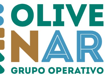 Logo OliveNar