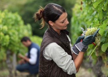 Agricultora en el campo