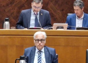 El consejero de Agricultura, Javier Rincón, durante su comparecencia ante la Comisión de las Cortes.